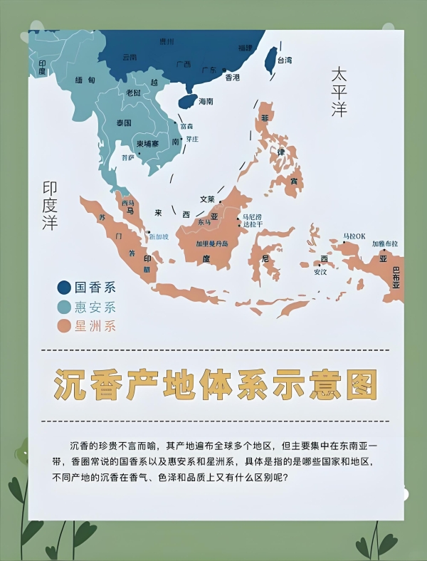 沉香产区全览：探寻全球沉香之源