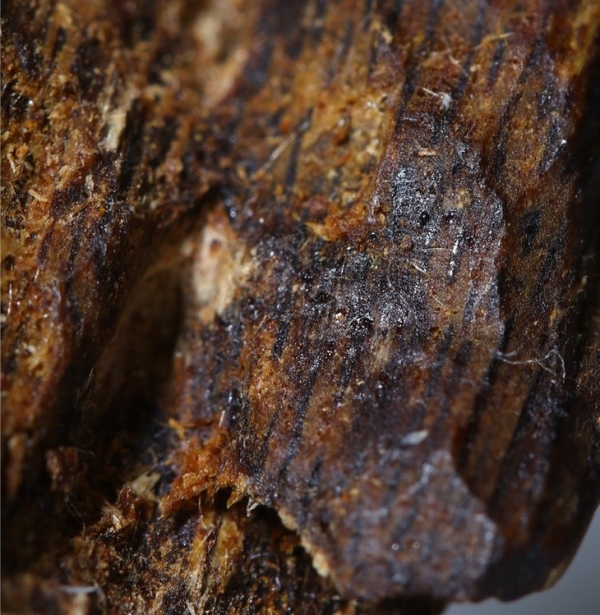 2026沉香价格大全｜一文读懂沉香多少钱一克，新手避坑不花冤枉钱