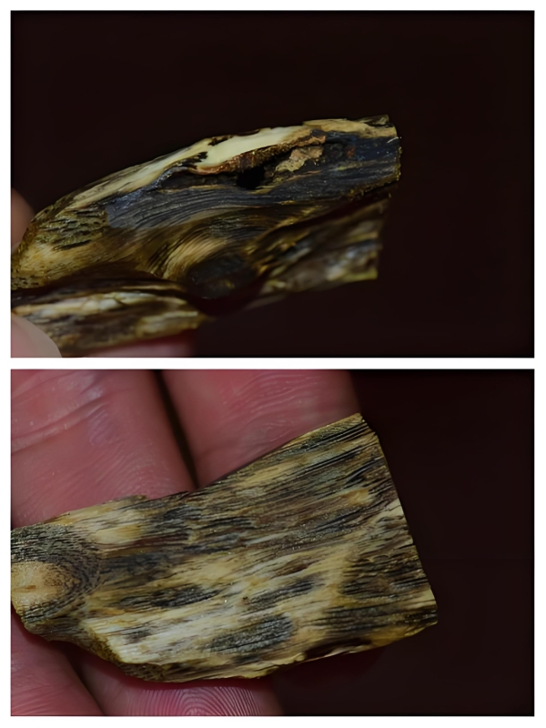 ‌海南莺歌绿奇楠沉香是什么味道？