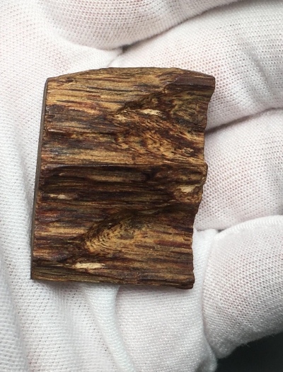 ‌你知道芽庄白奇楠沉香属于什么档次吗？