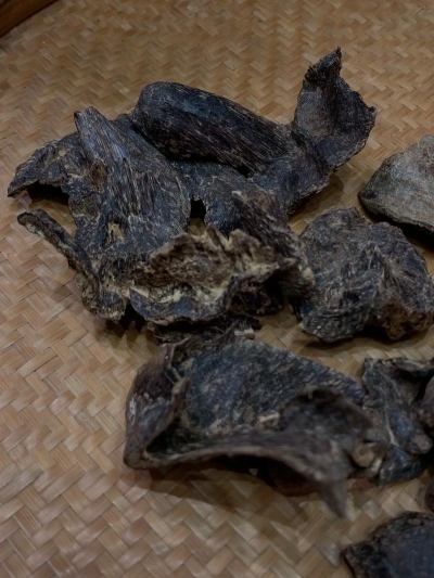 海沉香是什么价格是多少？