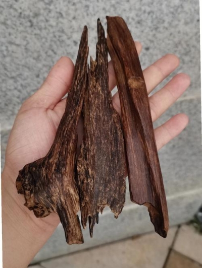 ‌沉香价格为什么这么贵？