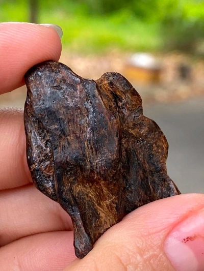 ‌沉香贵还是檀香贵？